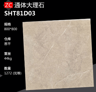 800*800 Glossy tiles ZC
