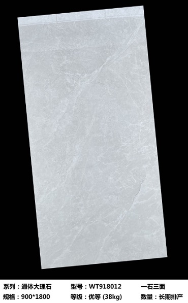 900*1800 Glossy tiles WT