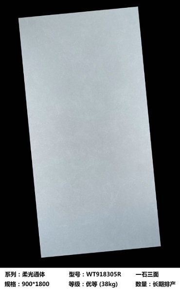 900*1800 Glossy tiles WT