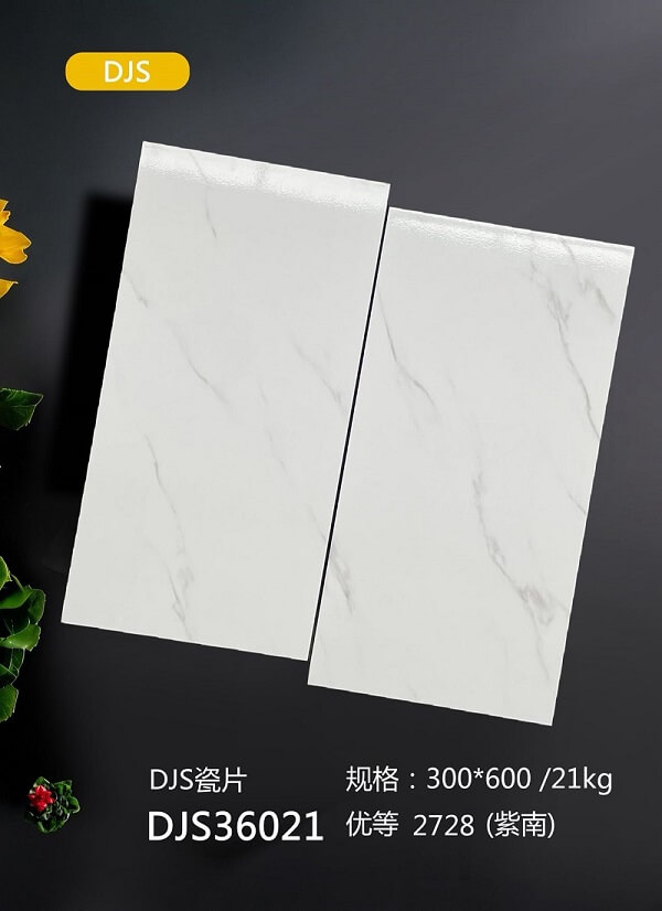 300*600 Glossy tiles DJS