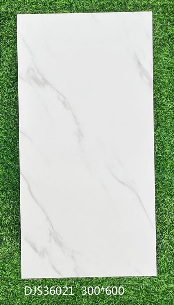 300*600 Glossy tiles DJS