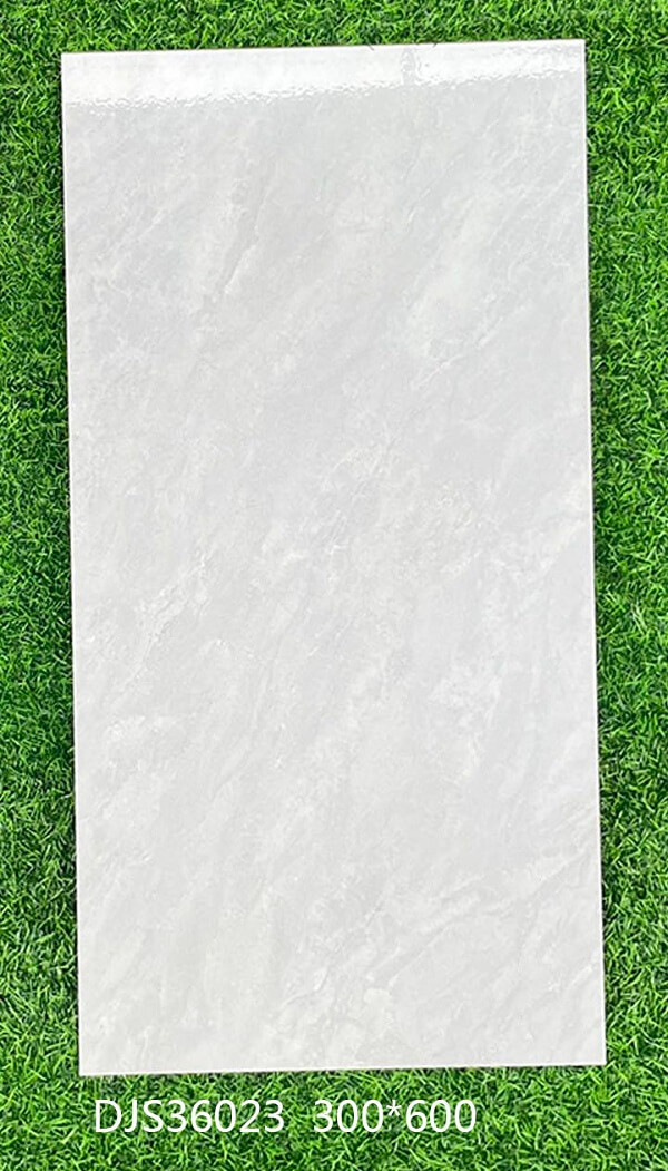 300*600 Glossy tiles DJS